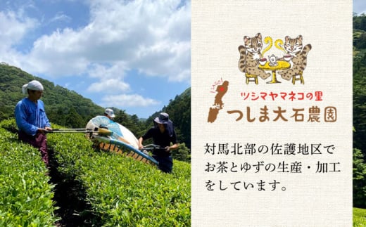 【全12回定期便】対馬紅茶 ティーバッグ 20包入×3袋《対馬市》【つしま大石農園】 対馬 紅茶 お茶 ティー べにふうき茶葉 フルーティー [WBE009]