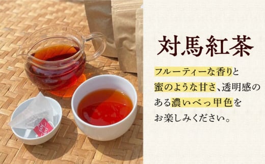 【全12回定期便】対馬紅茶 ティーバッグ 20包入×3袋《対馬市》【つしま大石農園】 対馬 紅茶 お茶 ティー べにふうき茶葉 フルーティー [WBE009]