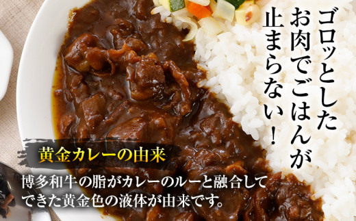 博多和牛 黄金カレー 博多和牛 牛肉 カレー カレーライス ご飯 お取り寄せ 福岡 グルメ