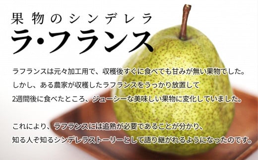 ≪令和6年度 先行予約≫山形県産 訳あり ラフランス 5kg  なし ナシ 梨 デザート フルーツ 果物 くだもの 果実 食品 山形県 FSY-0725