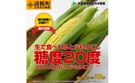 とうもろこし10本 おひさまコーン 元木農場 北海道 浦幌町産 生でも食べられる糖度20度以上 朝もぎたてとうもろこし  朝採り 旬の時期にお届け【8月中旬-9月中旬より順次出荷】