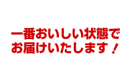 とうもろこし10本 おひさまコーン 元木農場 北海道 浦幌町産 生でも食べられる糖度20度以上 朝もぎたてとうもろこし  朝採り 旬の時期にお届け【8月中旬-9月中旬より順次出荷】