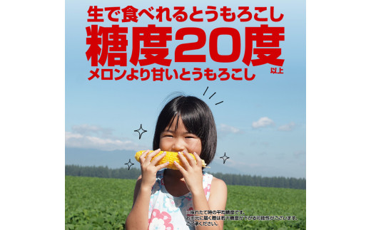 とうもろこし10本 おひさまコーン 元木農場 北海道 浦幌町産 生でも食べられる糖度20度以上 朝もぎたてとうもろこし  朝採り 旬の時期にお届け【8月中旬-9月中旬より順次出荷】