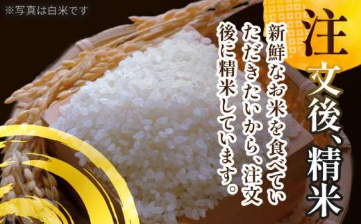 【5月発送】愛知県産あいちのかおり 玄米5kg 特別栽培米 お米 ご飯 愛西市 / 戸典オペレーター [AECT026-5]