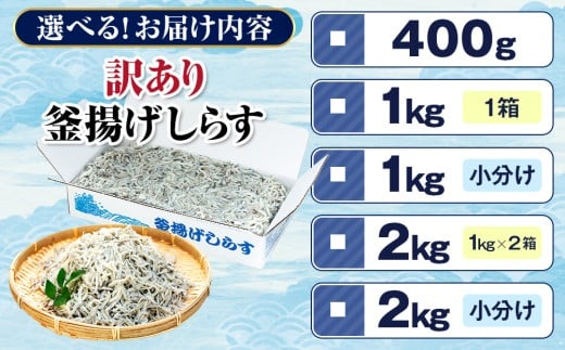 しらす 訳あり 2kg 1kg×2箱 釜揚げしらす シラス ごはん おかず チャーハン パスタ 料理 大きめ ランキング こだわり 鮮度 天塩 シラス しらす しらすごはん shirasu sirasu SIRASU 人気シラス マル伊商店 愛知県 南知多町
