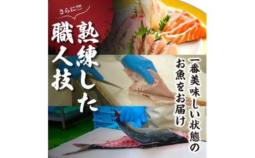 瀬戸内海の旬魚のお刺身セット（サク）