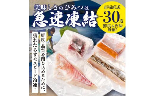 瀬戸内海の旬魚のお刺身セット（サク）