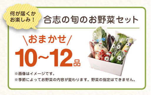 熊本県 合志の旬のお野菜 定期便 年5回 コース