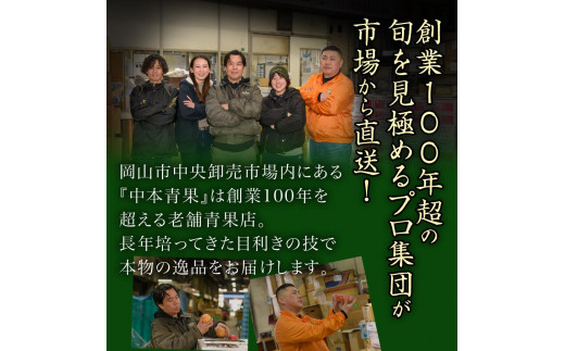 桃 2025年 先行予約 岡山 白桃 6玉（合計1.6kg以上）化粧箱入り もも モモ 岡山県産 国産 フルーツ 果物 ギフト