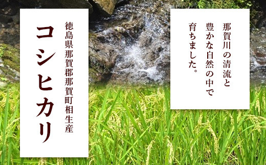 定期便6回 那賀町のお米(玄米)  コシヒカリ 定期便 お米 こめ おこめ 米 ご飯 ごはん 玄米 げんまい げん米 和食 おにぎり お弁当 頒布会 コメ 6ヵ月 6ヶ月 こしひかり コシヒカリ YS-28