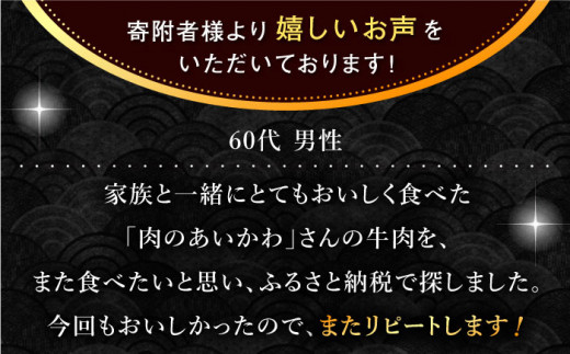 【最高級A5のみを厳選】長崎和牛 レモン ステーキ（うで・みすじ） 約500g【肉のあいかわ】 [QAA005]