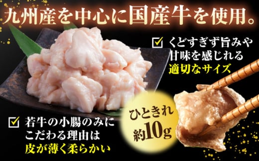 【もつ240g増量！】博多もつ鍋おおやま　しょうゆ味　2人前　もつ モツ おおやま 醤油 鍋 鍋セット 