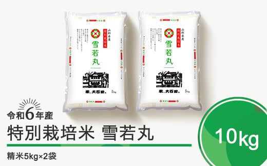 新米 令和7年5月下旬発送 雪若丸10kg 精米 令和6年産 ja-yusxb10-5s