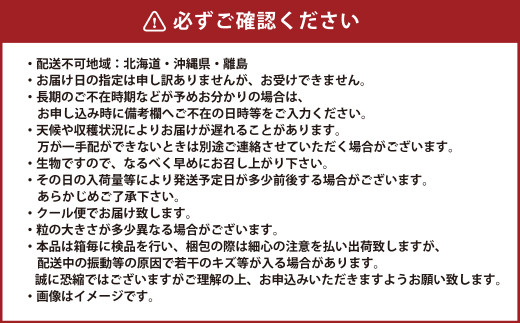 岡山県産 ニューピオーネ 約1.2kg（600g×2房） 【2024年8月下旬～9月下旬迄発送予定】