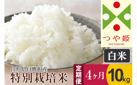 《定期便4ヶ月》【白米】つや姫 10kg×4回（特別栽培米）令和5年産 山形県産 しらたかのお米