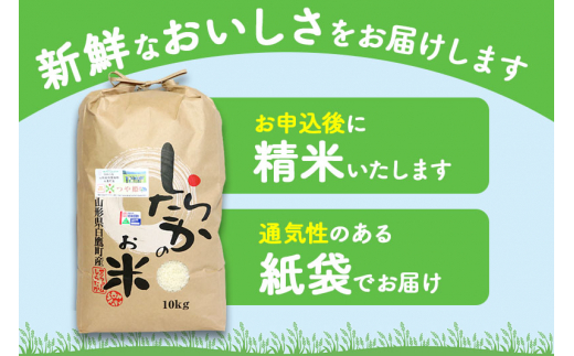 《定期便4ヶ月》【白米】つや姫 10kg×4回（特別栽培米）令和5年産 山形県産 しらたかのお米