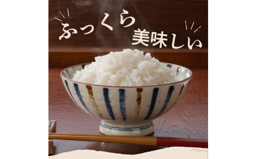 【2025年2月中旬発送】【定期便】令和6年産 新潟県矢代産コシヒカリ10kg(5kg×2袋)×6回（計60kg）