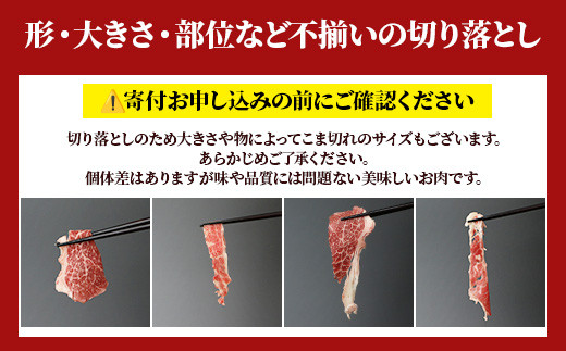 【定期便12回】熊本あか牛 切り落とし 計12Kg (500g×2)×12回 