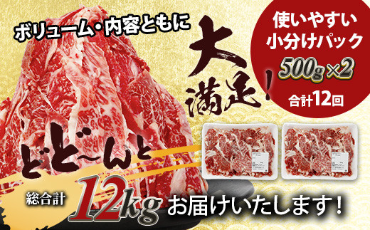 【定期便12回】熊本あか牛 切り落とし 計12Kg (500g×2)×12回 