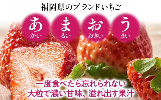 福岡産 あまおう 約300g  (12～15粒) 1箱 いちご 苺 果物 フルーツ 九州産 福岡県産 冷蔵 ギフト箱 箱入り ギフト 贈り物 送料無料【11月下旬発送開始予定】