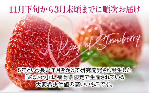 福岡産 あまおう 約300g  (12～15粒) 1箱 いちご 苺 果物 フルーツ 九州産 福岡県産 冷蔵 ギフト箱 箱入り ギフト 贈り物 送料無料【11月下旬発送開始予定】