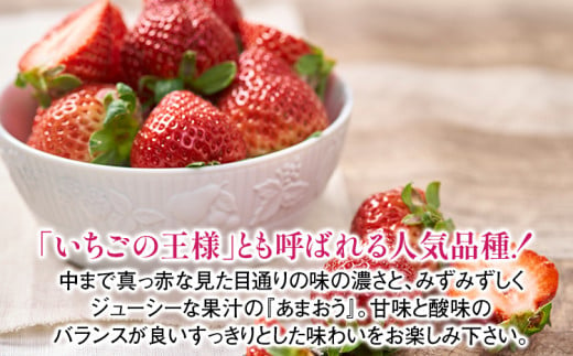 福岡産 あまおう 約300g  (12～15粒) 1箱 いちご 苺 果物 フルーツ 九州産 福岡県産 冷蔵 ギフト箱 箱入り ギフト 贈り物 送料無料【11月下旬発送開始予定】