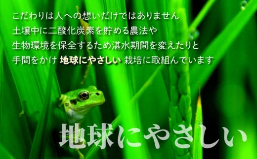 【令和6年産 新米】こしひかり 30kg【玄米】減農薬・減化学肥料 「特別栽培米」－地球にやさしいお米－