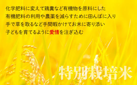 【令和6年産 新米】こしひかり 30kg【玄米】減農薬・減化学肥料 「特別栽培米」－地球にやさしいお米－