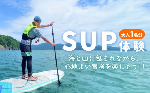 SUP 体験 大人１名様分 体験ツアー 石巻市 雄勝湾 海 