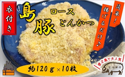 1755～真面目に島育ち～豚肉屋が作るロースとんかつ【衣付き】(約1.2kg)