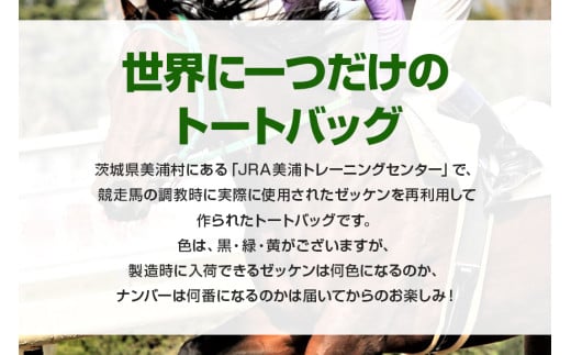 トートバッグ 2 競走馬 調教馬 競馬 ゼッケン デザイン バッグ 限定品 ファングッズ 馬関連 ギフト 大容量 厚手 おしゃれ レディース メンズ ファッション (G740)