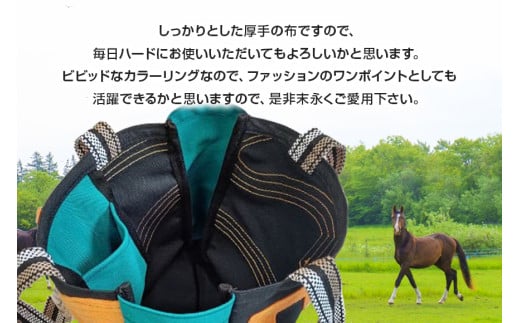 トートバッグ 2 競走馬 調教馬 競馬 ゼッケン デザイン バッグ 限定品 ファングッズ 馬関連 ギフト 大容量 厚手 おしゃれ レディース メンズ ファッション (G740)