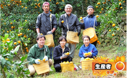 家庭用 小玉な 有田みかん 2.5kg+75g（痛み補償分）【 わけあり・訳あり 】【 光センサー選果 】＜11月中旬～翌年1月下旬ごろに順次発送予定＞ ※北海道・沖縄・離島への配送不可 / 和歌山 蜜柑 ミカン フルーツ 果物 旬 柑橘 秋【ikd004-s-c-2d5】