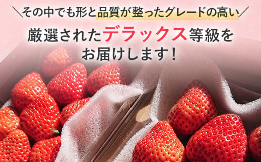 【2025年発送先行予約】あまおうデラックス（約280g x4パック） お取り寄せグルメ お取り寄せ 福岡 お土産 九州 福岡土産 取り寄せ グルメ 福岡県