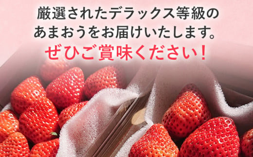 【2025年発送先行予約】あまおうデラックス（約280g x4パック） お取り寄せグルメ お取り寄せ 福岡 お土産 九州 福岡土産 取り寄せ グルメ 福岡県