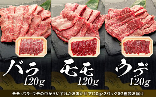 蓼科牛焼肉120g×4パック