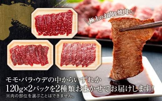 蓼科牛焼肉120g×4パック