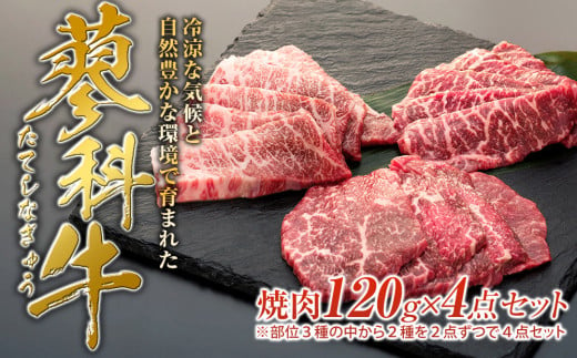 蓼科牛焼肉120g×4パック