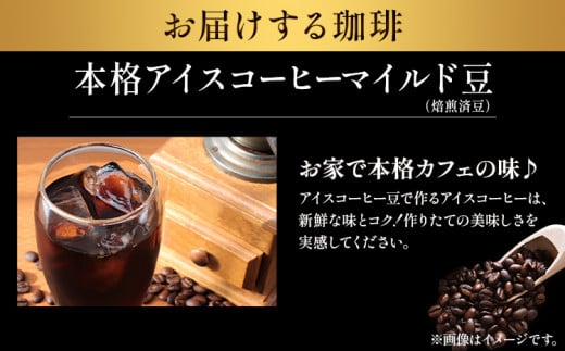 本格アイスコーヒーマイルド豆 500g 豆 ＆ 古墳珈琲ドリップバッグ  1袋 株式会社ばいせん工房 珈琲倶楽部《30日以内に出荷予定(土日祝除く)》大阪府 羽曳野市 コーヒー 豆 アイスコーヒー マイルド豆