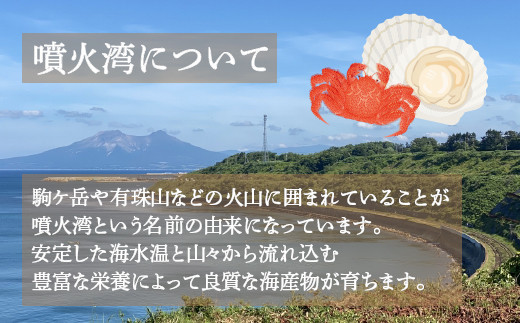 【令和7年度発送先行予約】【地元現役漁師が厳選】活毛ガニ 2尾 （1尾400～500g）毛ガニ 冷蔵 【 ふるさと納税 人気 おすすめ ランキング 魚介類 カニ かに 蟹 毛がに 毛蟹 厳選 噴火湾 大容量 おいしい 美味しい 新鮮 北海道 豊浦町 送料無料 】 TYUR032