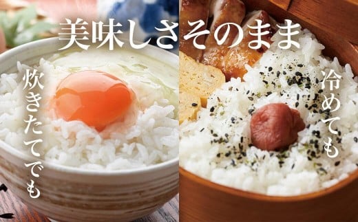 精米】令和7年産新米 先行受付 大崎産「コシヒカリ」20kg