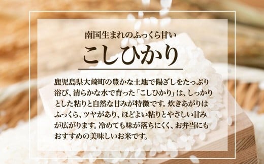 にこまる 精米20kg 鹿児島県産 H30年産 ふるさと納税】【新米先行予約】R7年産 新米 にこまる 白米 10kg