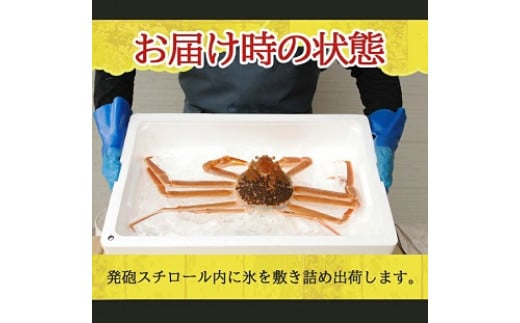 854　遊佐沖　生・本ズワイガニ 1匹 700g程度