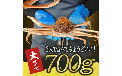 854　遊佐沖　生・本ズワイガニ 1匹 700g程度