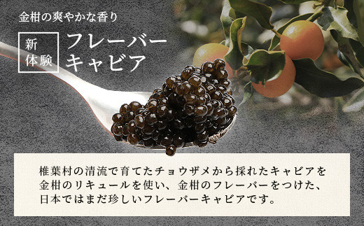 【世界三大珍味×日本三大秘境】HEIKE CAVIAR  3種食べ比べセット20g×3【産地直送】【簡易包装】［宮崎 椎葉 国産 きゃびあ キャビア ワイン ワインキャビア 金柑 金柑キャビア 魚卵 卵 世界三大珍味 加工品 冷凍 高級 高級品 贅沢 お取り寄せ お取り寄せグルメ  ディナー パーティー おつまみ グルメ ギフト 誕生日 プレゼント お祝い 贈り物 桐箱 希少］【SZ-131】