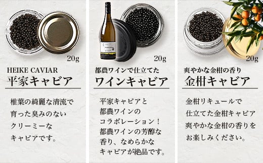 【世界三大珍味×日本三大秘境】HEIKE CAVIAR  3種食べ比べセット20g×3【産地直送】【簡易包装】［宮崎 椎葉 国産 きゃびあ キャビア ワイン ワインキャビア 金柑 金柑キャビア 魚卵 卵 世界三大珍味 加工品 冷凍 高級 高級品 贅沢 お取り寄せ お取り寄せグルメ  ディナー パーティー おつまみ グルメ ギフト 誕生日 プレゼント お祝い 贈り物 桐箱 希少］【SZ-131】