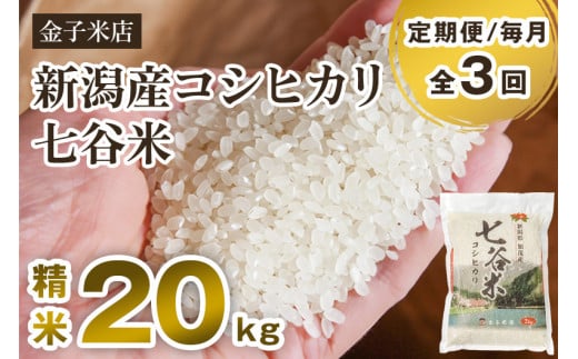 【令和6年産新米】【定期便3回毎月お届け】老舗米穀店が厳選 新潟産 従来品種コシヒカリ「七谷米」精米20kg（5kg×4）白米 窒素ガス充填パックで鮮度長持ち 金子米店