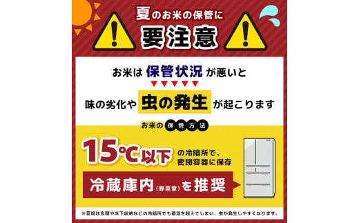 【定期便6回】食味ランキング「特A」 こしひかり 10kg | 白米 精米 お米 ブランド米 栃木県共通返礼品 栃木県産 栃木県 特産品 下野市 送料無料