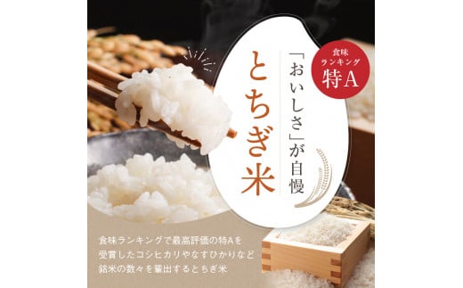 【定期便6回】食味ランキング「特A」 こしひかり 10kg | 白米 精米 お米 ブランド米 栃木県共通返礼品 栃木県産 栃木県 特産品 下野市 送料無料