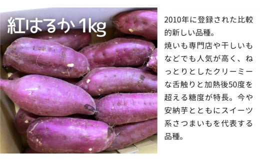 茨城名産 さつまいも 食べくらべ セット【ねっとり】 1kg × 3種 3kg サツマイモ 芋 詰合せ 野菜 スイーツ 焼き芋 紫芋 紅はるか ふくむらさき 姫あやか 生芋